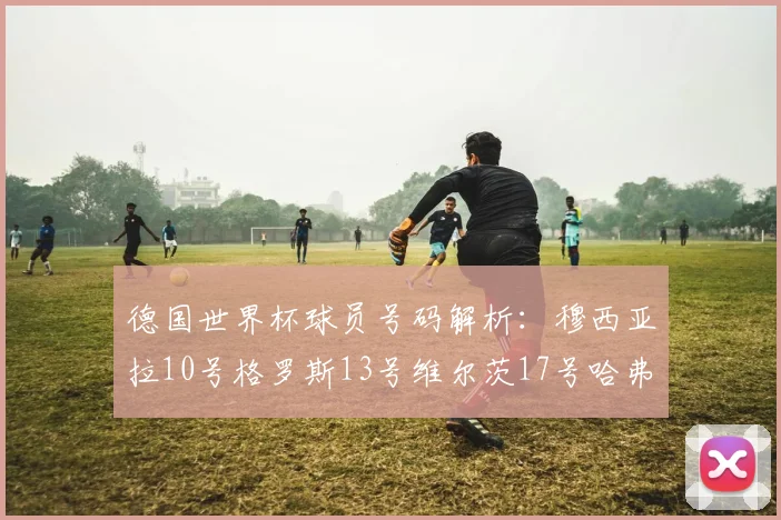 德国世界杯球员号码解析：穆西亚拉10号格罗斯13号维尔茨17号哈弗茨7号的背后故事