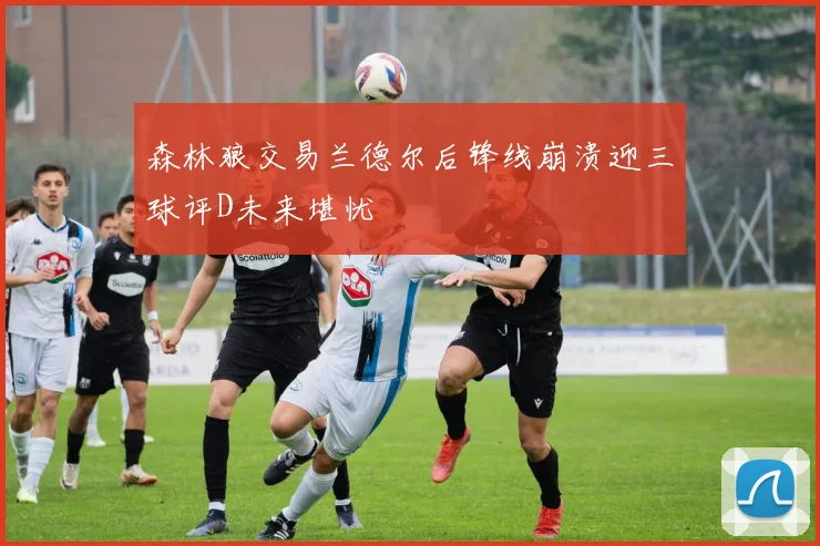 森林狼交易兰德尔后锋线崩溃迎三球评D未来堪忧