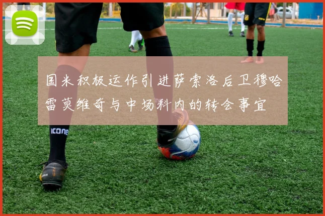 国米积极运作引进萨索洛后卫穆哈雷莫维奇与中场科内的转会事宜